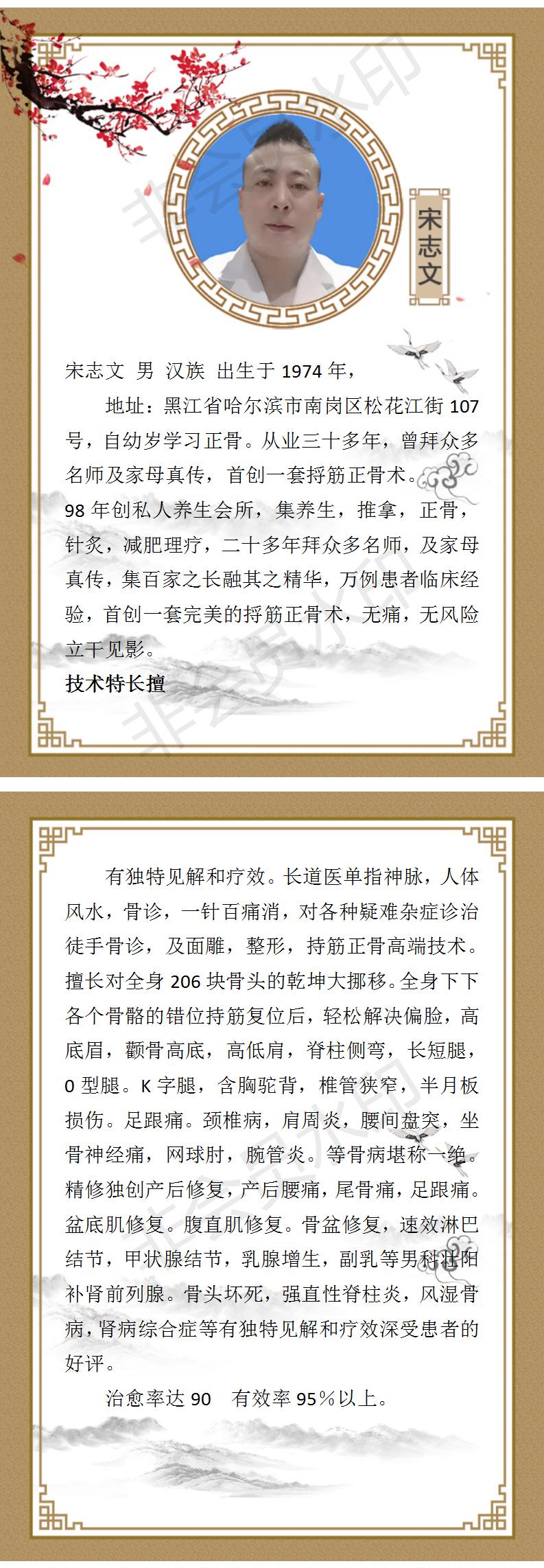 宋志文简介_01.jpg