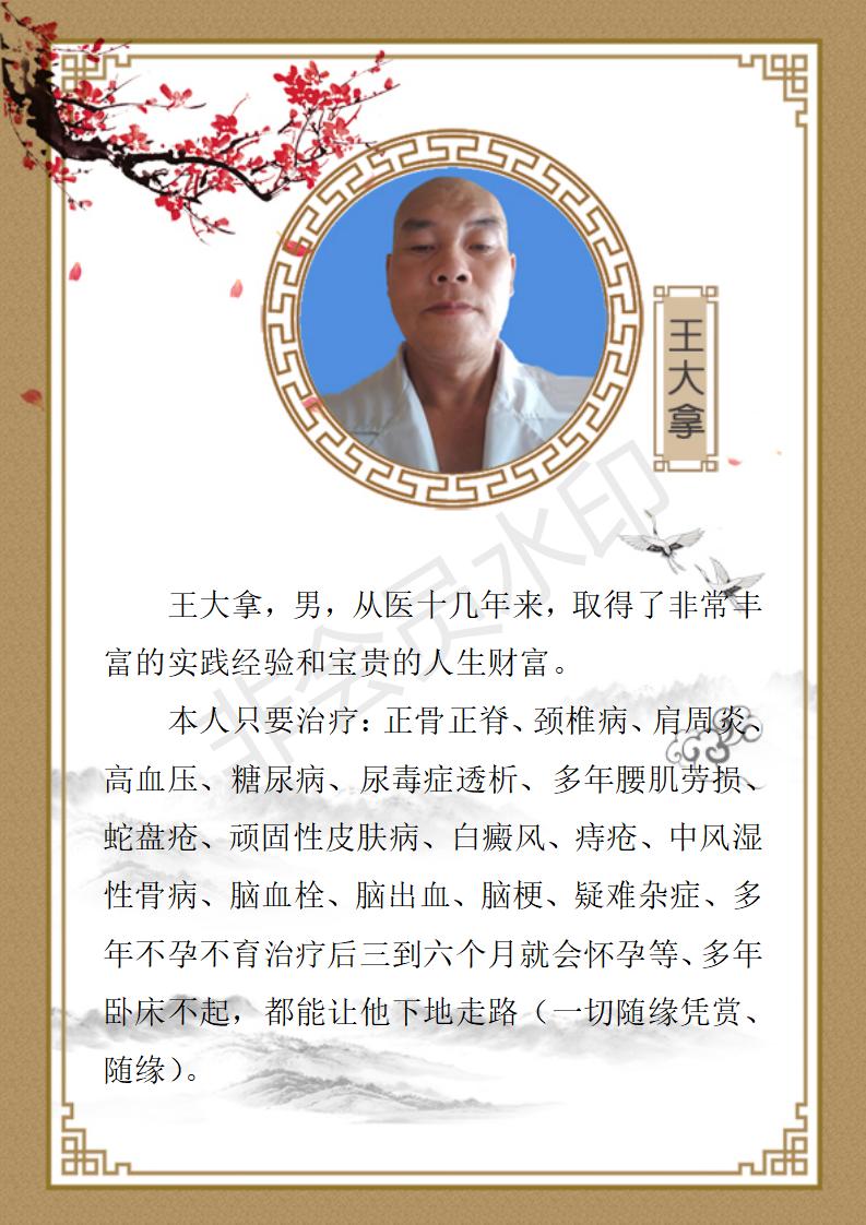 王大拿个人简介_01.jpg