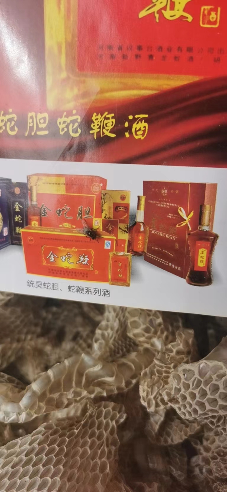 微信图片_20220921133200.jpg